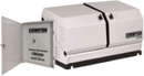 Champion 100294 14kW Standby Generator LP/NG w/ 200 Amp Automatic Transfer Switch New