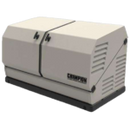 Briggs & Stratton 040666 12kW Standby Generator LP/NG New