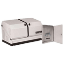 Champion 100179 Home Standby Generator 12.5kW Nema 3 Transfer Switch